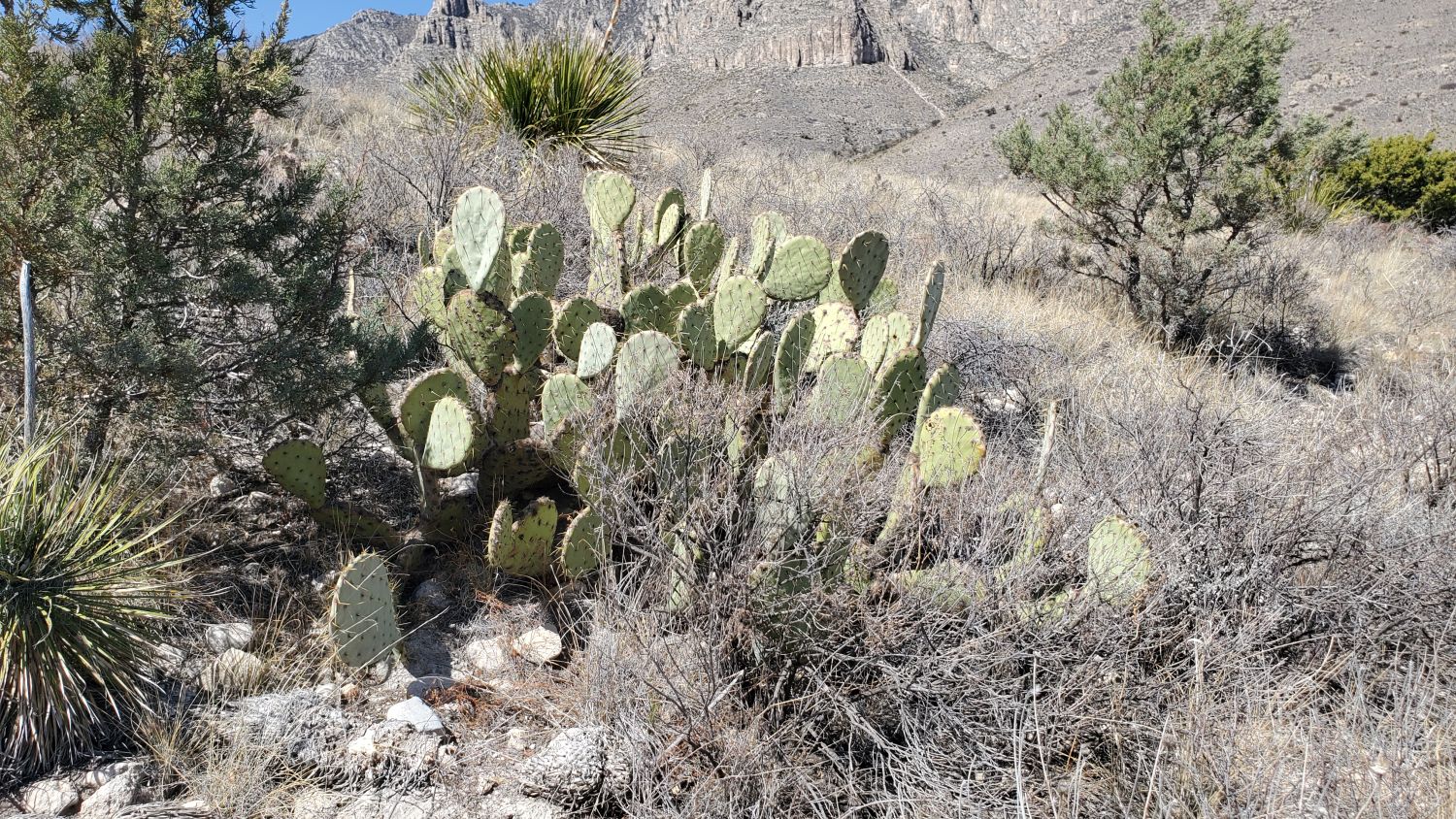 Devils Hall Trail 